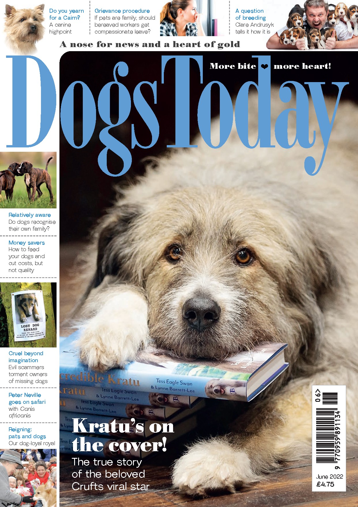 Cover of Dogs Today magazine featuring Kratu